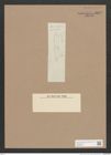 Navicula sp. (de-Toni-Nr.: Genus 1) Zeichnungen Sammlung Grunow Nr. 1377 (NHMW-BOT-W0368333)